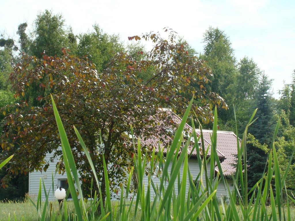 Bed and Breakfast Bobrowa Dolina Рын Номер фото