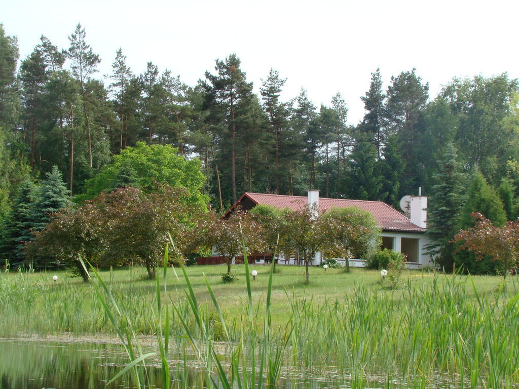 Bed and Breakfast Bobrowa Dolina Рын Экстерьер фото