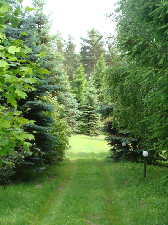 Bed and Breakfast Bobrowa Dolina Рын Экстерьер фото